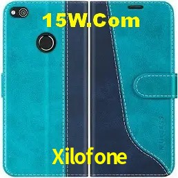 Login Seguro Xilofone